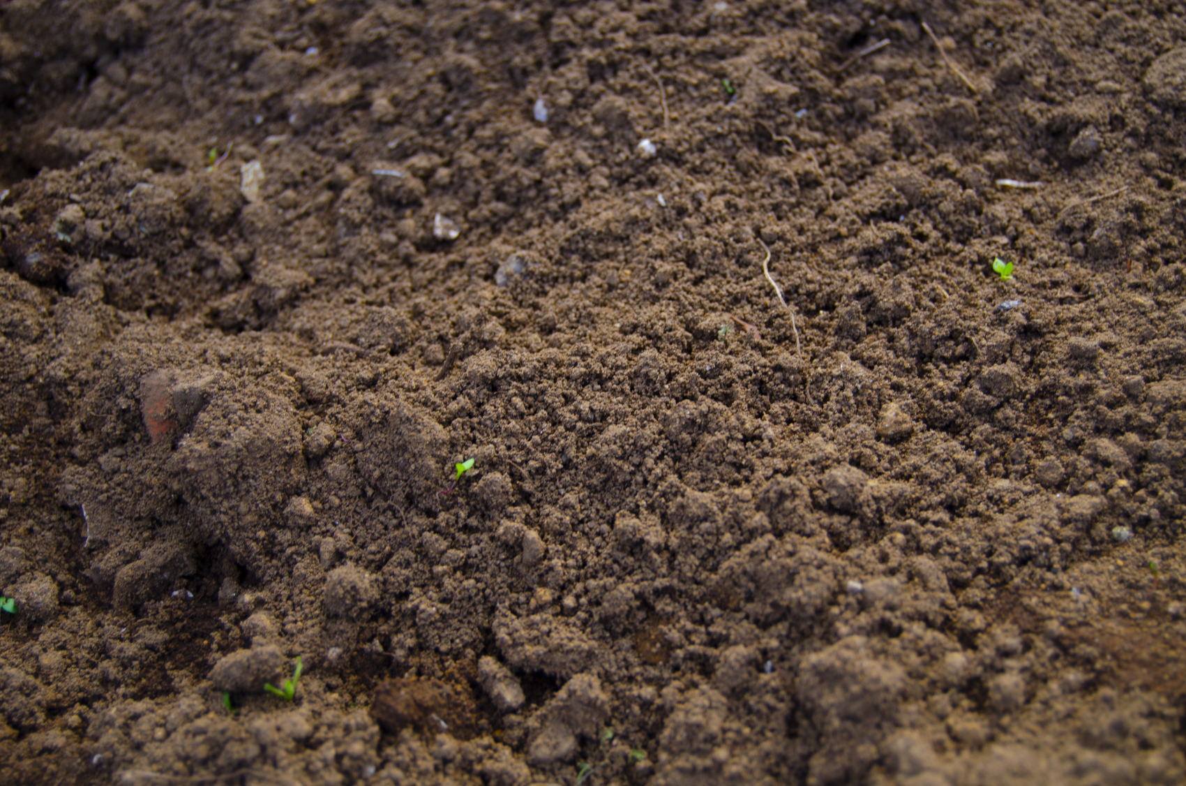 ABUIABACGAAgmKG1xQYosM2-lQUwpA04vAc